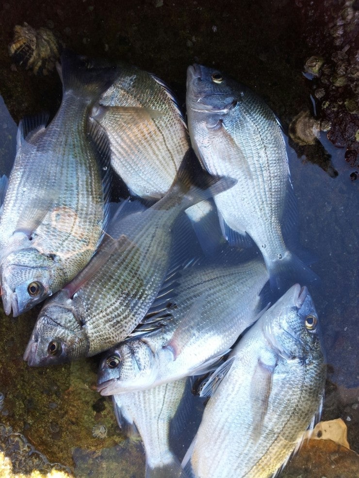 %BB%E7%C1%F8_462.jpg?type=w740