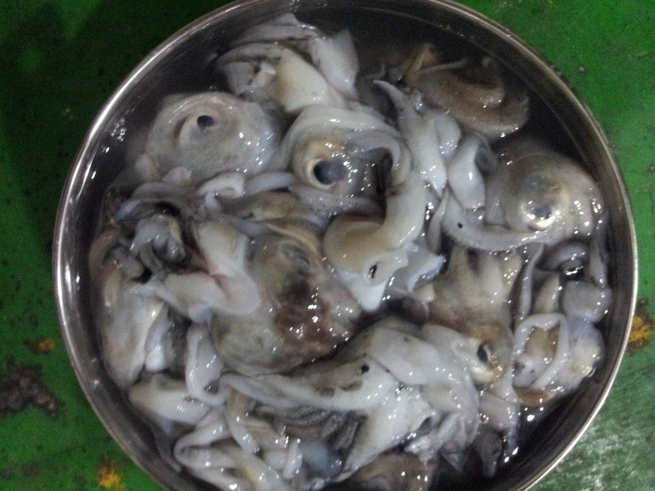 %BB%E7%C1%F8_990.jpg?type=w740