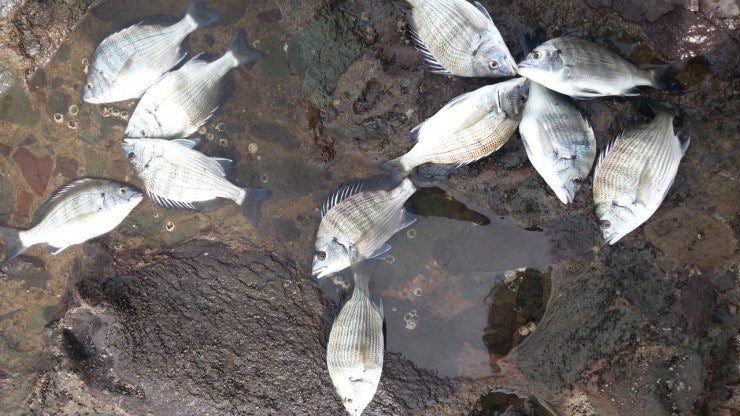 %BB%E7%C1%F8_571.jpg?type=w740