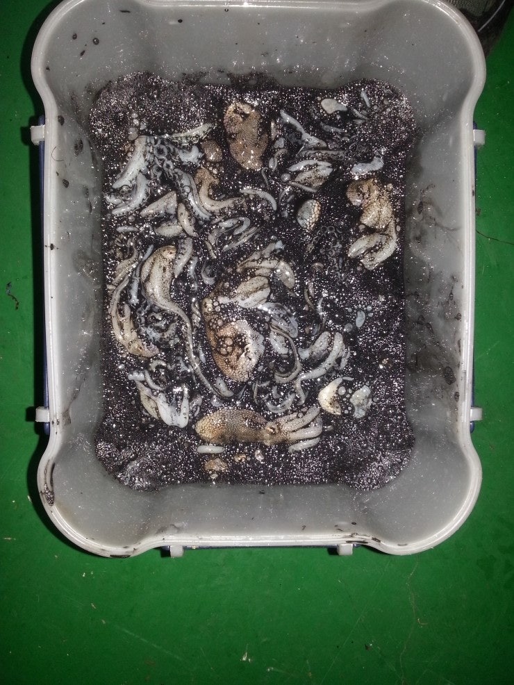 %BB%E7%C1%F8_862.jpg?type=w740