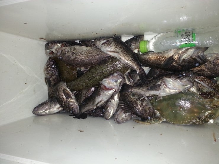 %BB%E7%C1%F8_860.jpg?type=w740