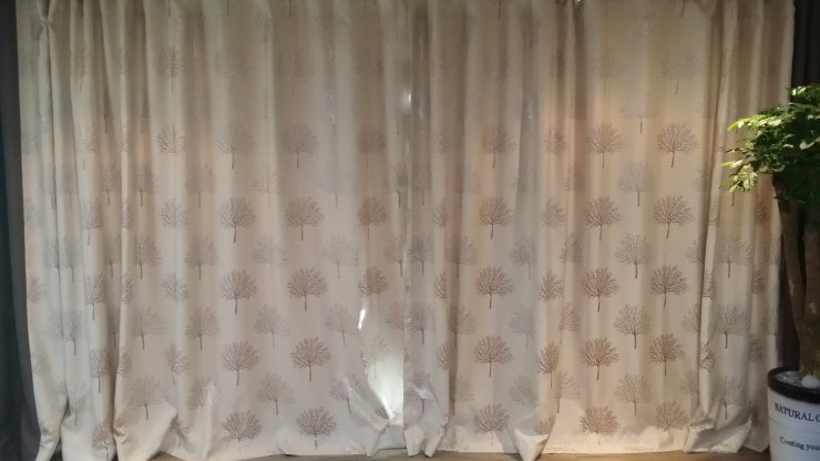 20150505_154204.jpg?type=w740