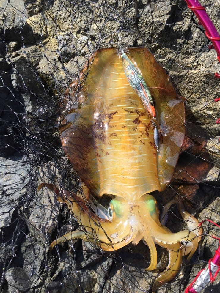 IMG_1181.JPG?type=w740