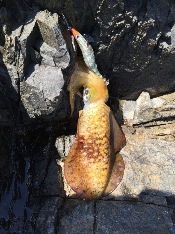 IMG_1182.JPG?type=w740