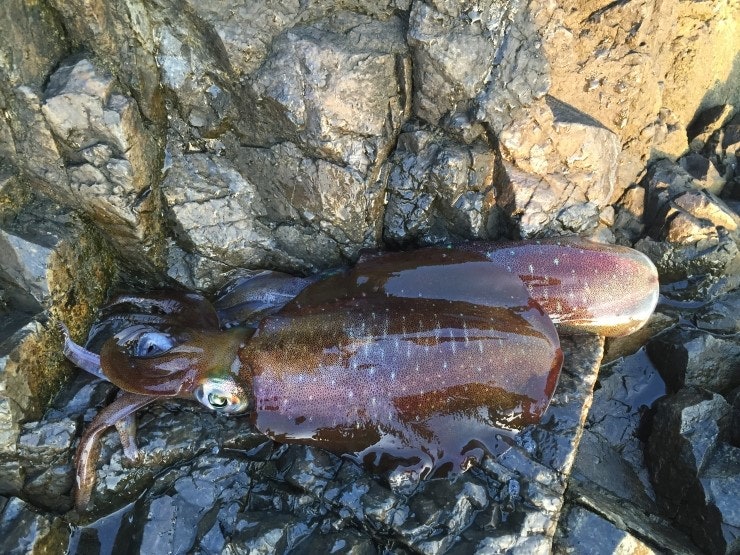 IMG_1162.JPG?type=w740